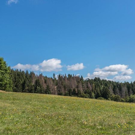 Haus Isele Apartment Urberg Luaran gambar